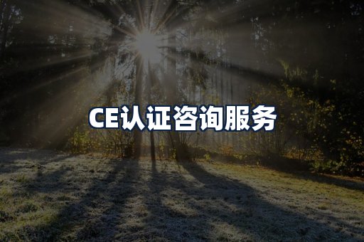 CE认证咨询服务
